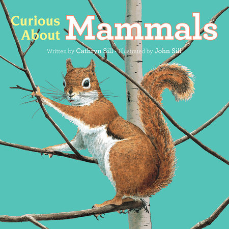Curious About Mammals Board Book by by Cathryn Sill; illustrated by John Sill