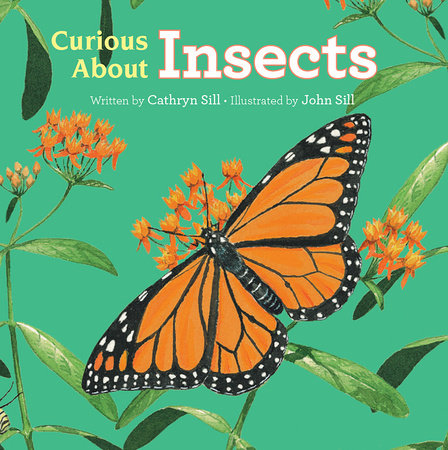Curious About Insects Board Book by by Cathryn Sill; illustrated by John Sill