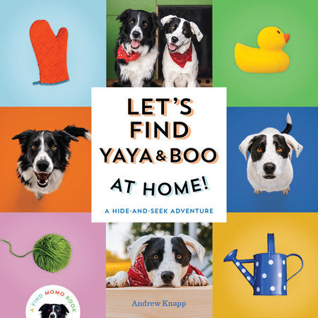 Let's Find Yaya and Boo at Home! Ebook by Andrew Knapp