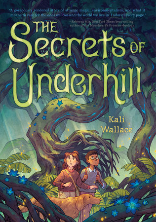 The Secrets of Underhill Hardcover by Kali Wallace