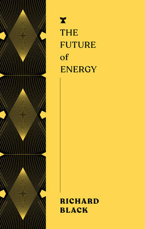 The Future of Energy Paperback by Richard Black