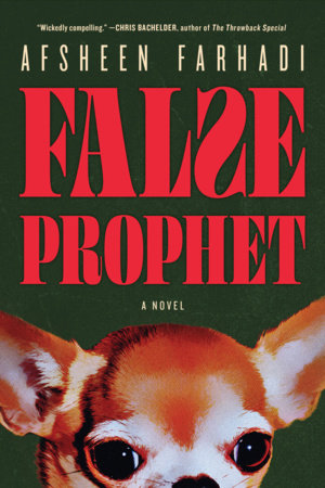 False Prophet Paperback by Afsheen Farhadi