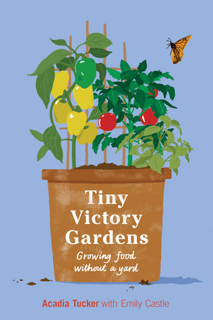 Tiny Victory Gardens Paperback by Acadia Tucker