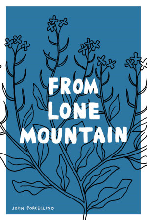 From Lone Mountain Paperback by John Porcellino