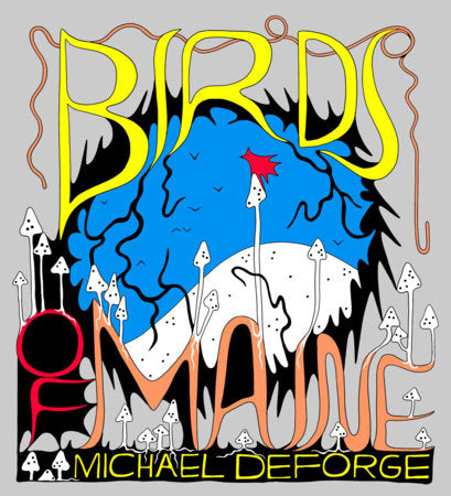 Birds of Maine Hardcover by Michael DeForge