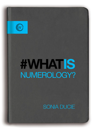 What is Numerology? Paperback by Sonia Ducie