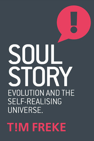 Soul Story Paperback by Tim Freke