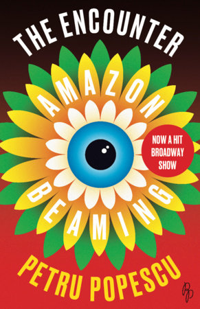 The Encounter TR by Petru Popescu