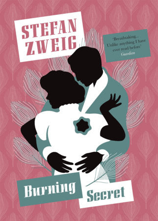Burning Secret Paperback by Stefan Zweig