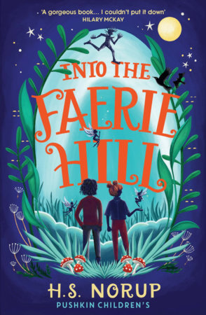 Into the Faerie Hill Paperback by H.S. Norup