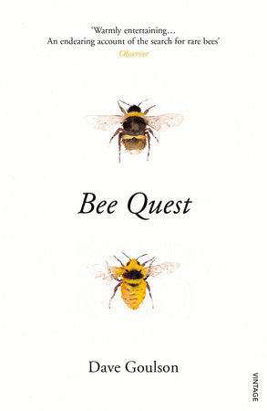 Bee Quest Paperback by Dave Goulson