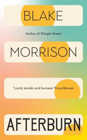Afterburn Paperback by Blake Morrison