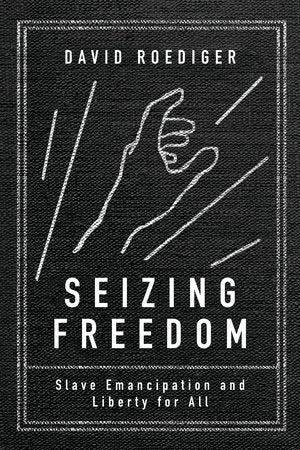Seizing Freedom Paperback by David R. Roediger