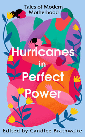 Hurricanes in Perfect Power Hardcover by Various