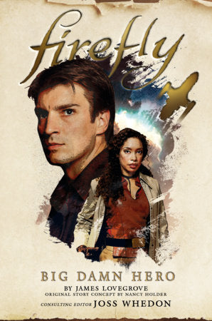Big Damn Hero Paperback by James Lovegrove, Nancy Holder