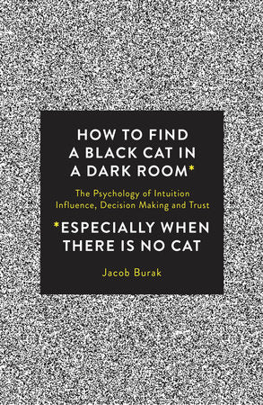 How To Find a Black Cat in a Dark Room Paperback by Jacob Burak