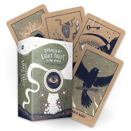 Transient Light Tarot Merchandise by Ari Wisner
