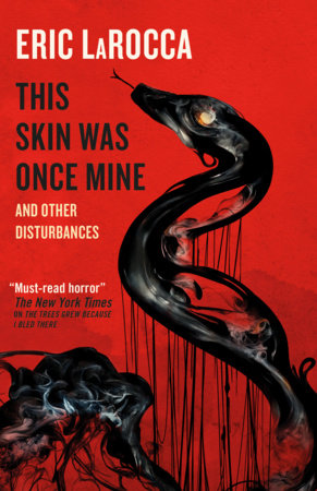 This Skin Was Once Mine and Other Disturbances TR by Eric LaRocca