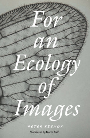 For an Ecology of Images Paperback by Peter Szendy