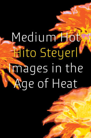 Medium Hot Paperback by Hito Steyerl