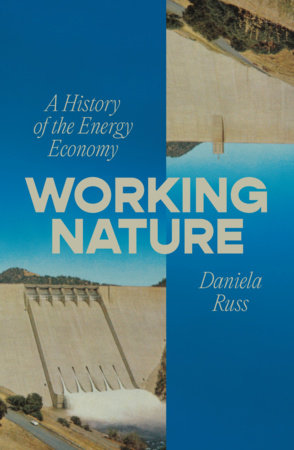 Working Nature Paperback by Daniela Russ