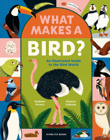 What Makes a Bird?: An Illustrated Guide to the Bird World Hardcover by Nadeem Perera