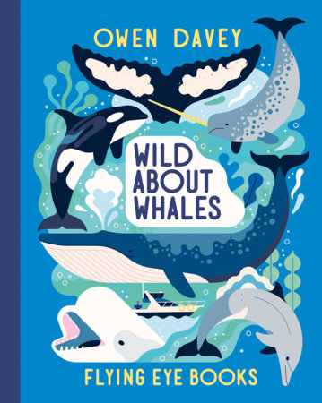 Wild About Whales Hardcover by Owen Davey