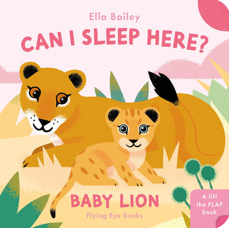 Can I Sleep Here Baby Lion Board Book by Ella Bailey