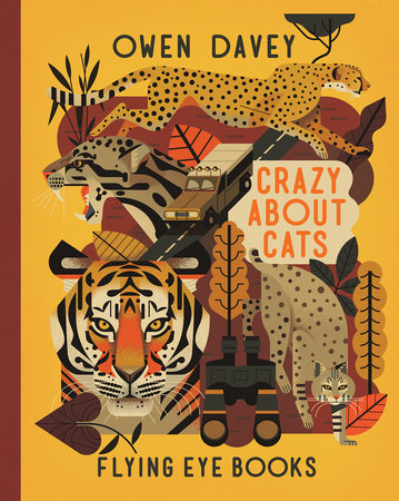Crazy About Cats Hardcover by Owen Davey