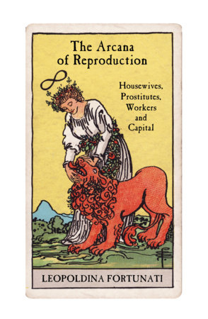 The Arcana of Reproduction Paperback by Leopoldina Fortunati