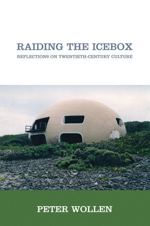 Raiding the Icebox Paperback by Peter Wollen