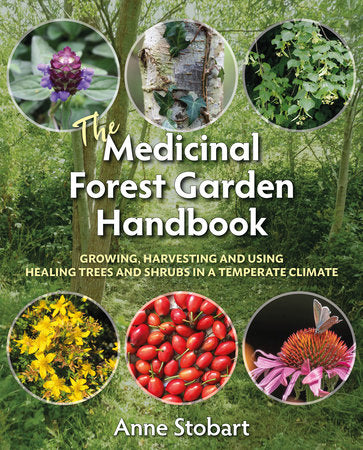 The Medicinal Forest Garden Handbook Paperback by Anne Stobart