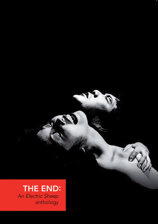 The End Paperback by edited by Virginie Sélavy