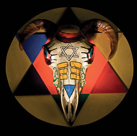 Of Shadows Paperback by Sara Hannant and Simon Costin