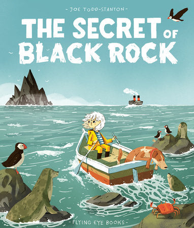 The Secret Of Black Rock Hardcover by Joe Todd-Stanton