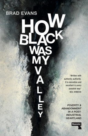 How Black Was My Valley Paperback by Brad Evans