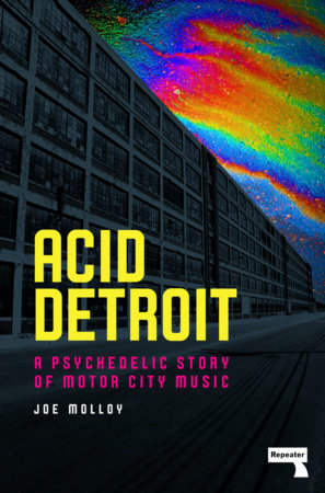 Acid Detroit Paperback by Joe Molloy