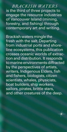 Brackish Waters Paperback by Jesse Birch and Will Holder