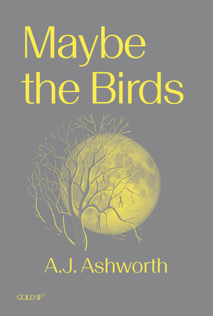 Maybe the Birds Paperback by A. J. Ashworth