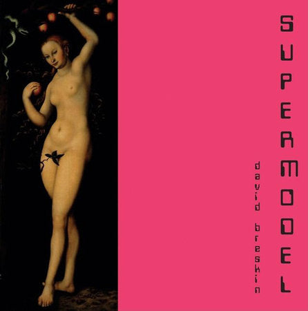 Supermodel Paperback by David Breskin