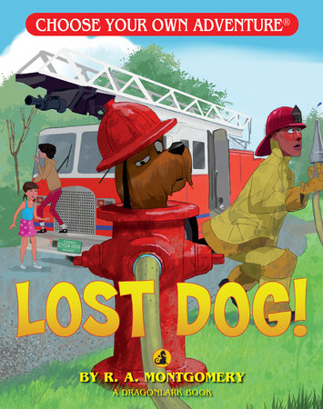 Lost Dog! Paperback by R. A. Montgomery