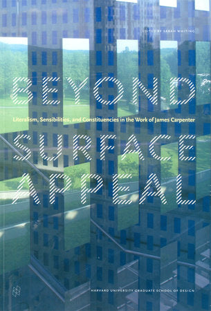 Beyond Surface Appeal Paperback by Sarah Whiting