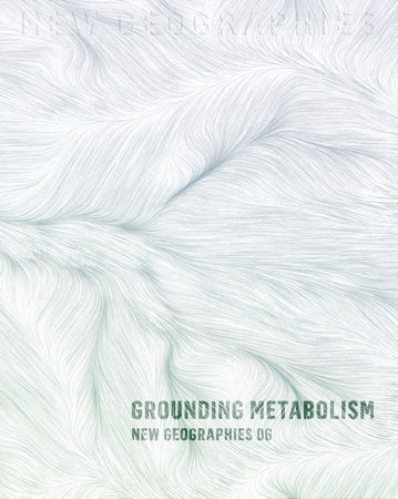 New Geographies, 6 Paperback by Daniel Ibanez