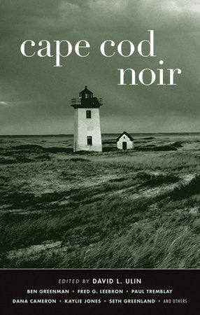 Cape Cod Noir Paperback by David L. Ulin