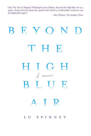 Beyond the High Blue Air Paperback by Lu Spinney