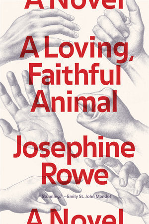 A Loving, Faithful Animal Paperback by Josephine Rowe