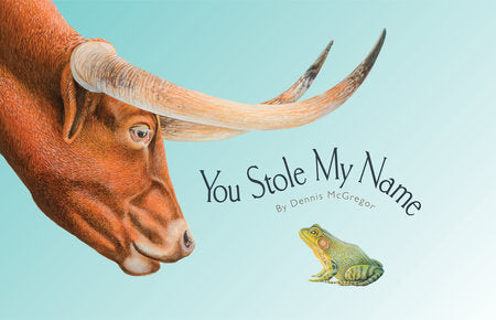You Stole My Name Hardcover by Dennis McGregor