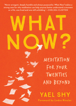 What Now? Paperback by Yael Shy