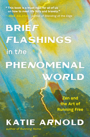 Brief Flashings in the Phenomenal World Paperback by Katie Arnold