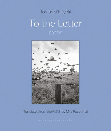 To the Letter Paperback by Tomasz Ro´z?ycki